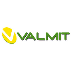 Valmit Logo