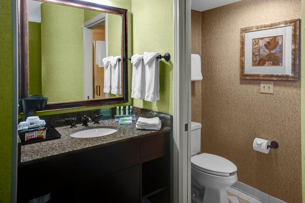 Images Holiday Inn Express & Suites Atlanta Buckhead by IHG