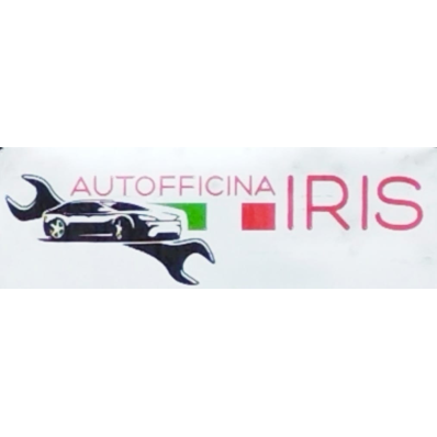 Auto Iris Logo