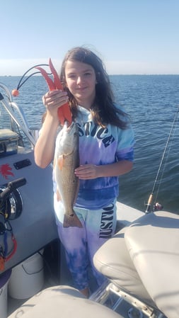 Images E-6 INSHORE FISHING ADVENTURES, LLC