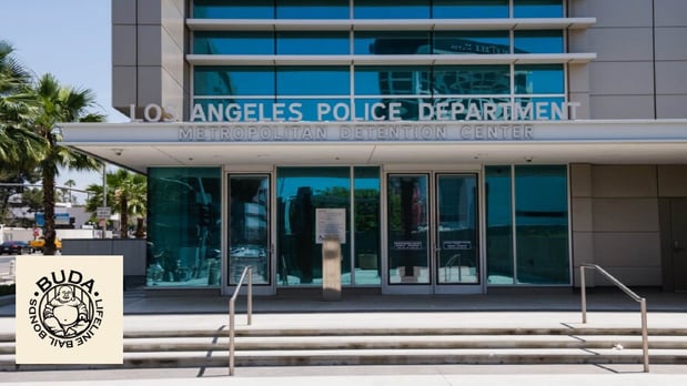 Images Buda Lifeline Bail Bonds, Inc.