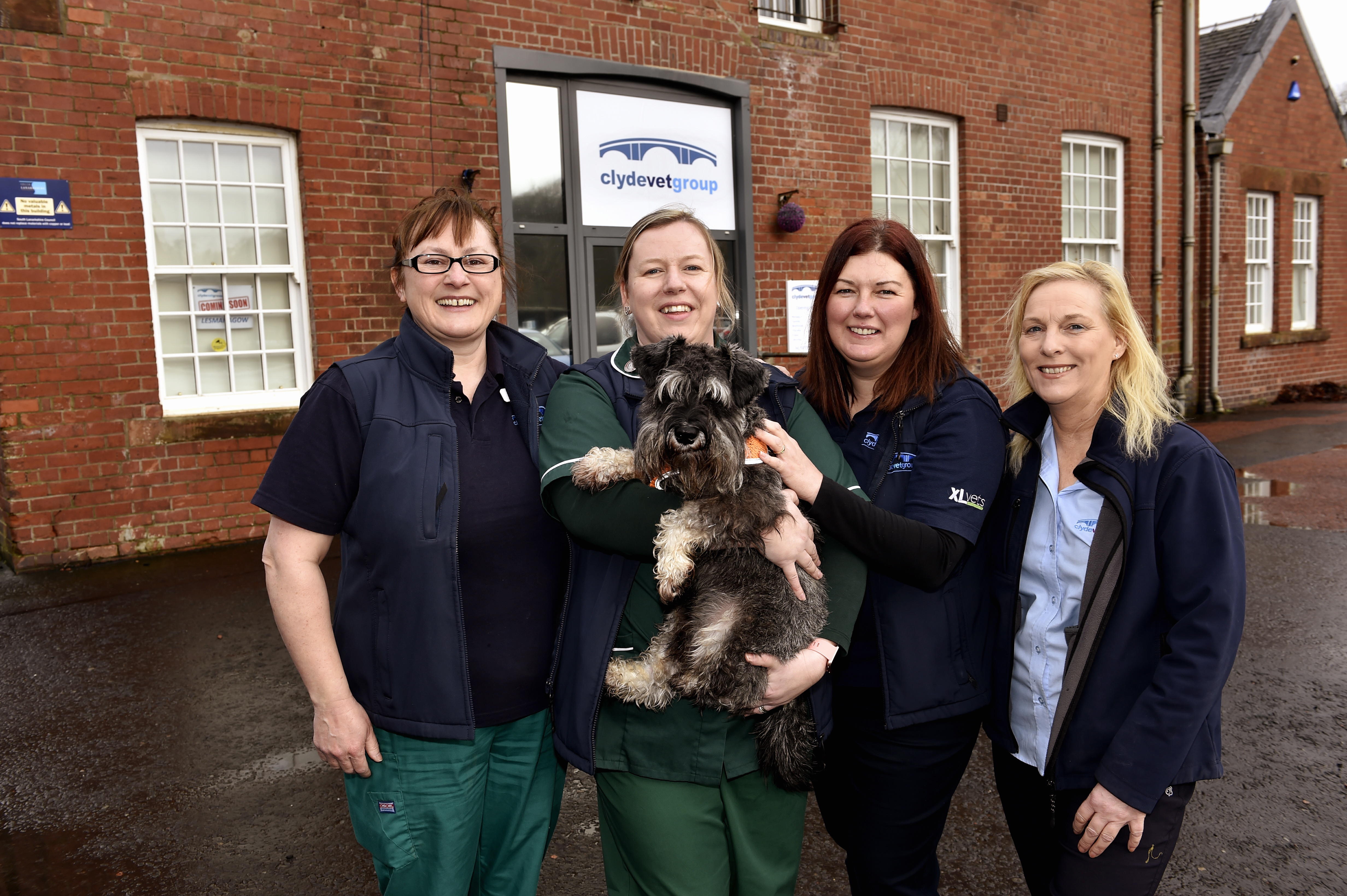 Images Clyde Veterinary Group, Lesmahagow