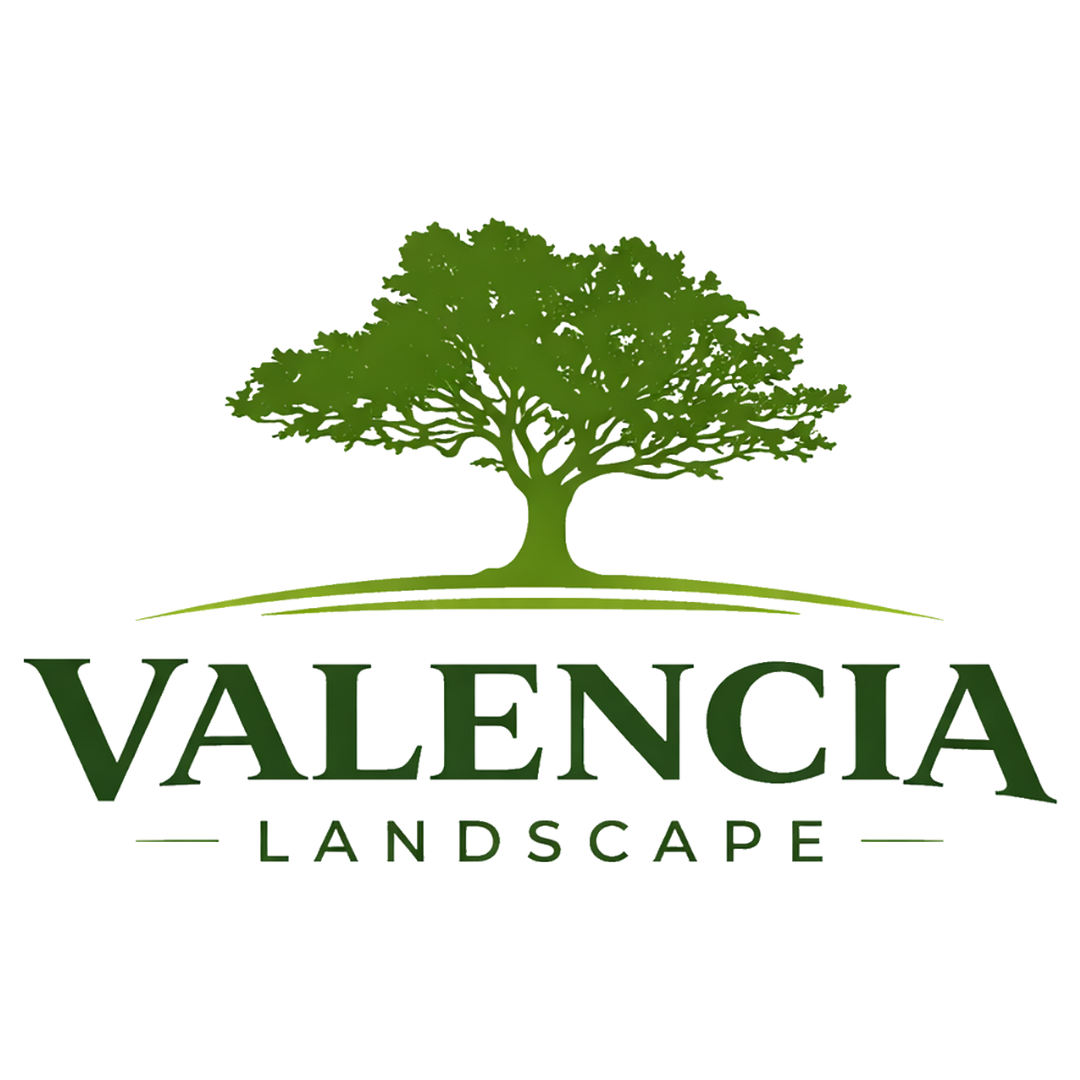 Valencia Landscape