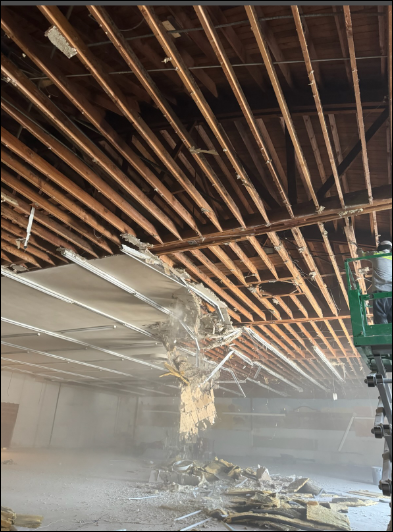 Antonio Hauling Demolition & Junk Removal - Demolition