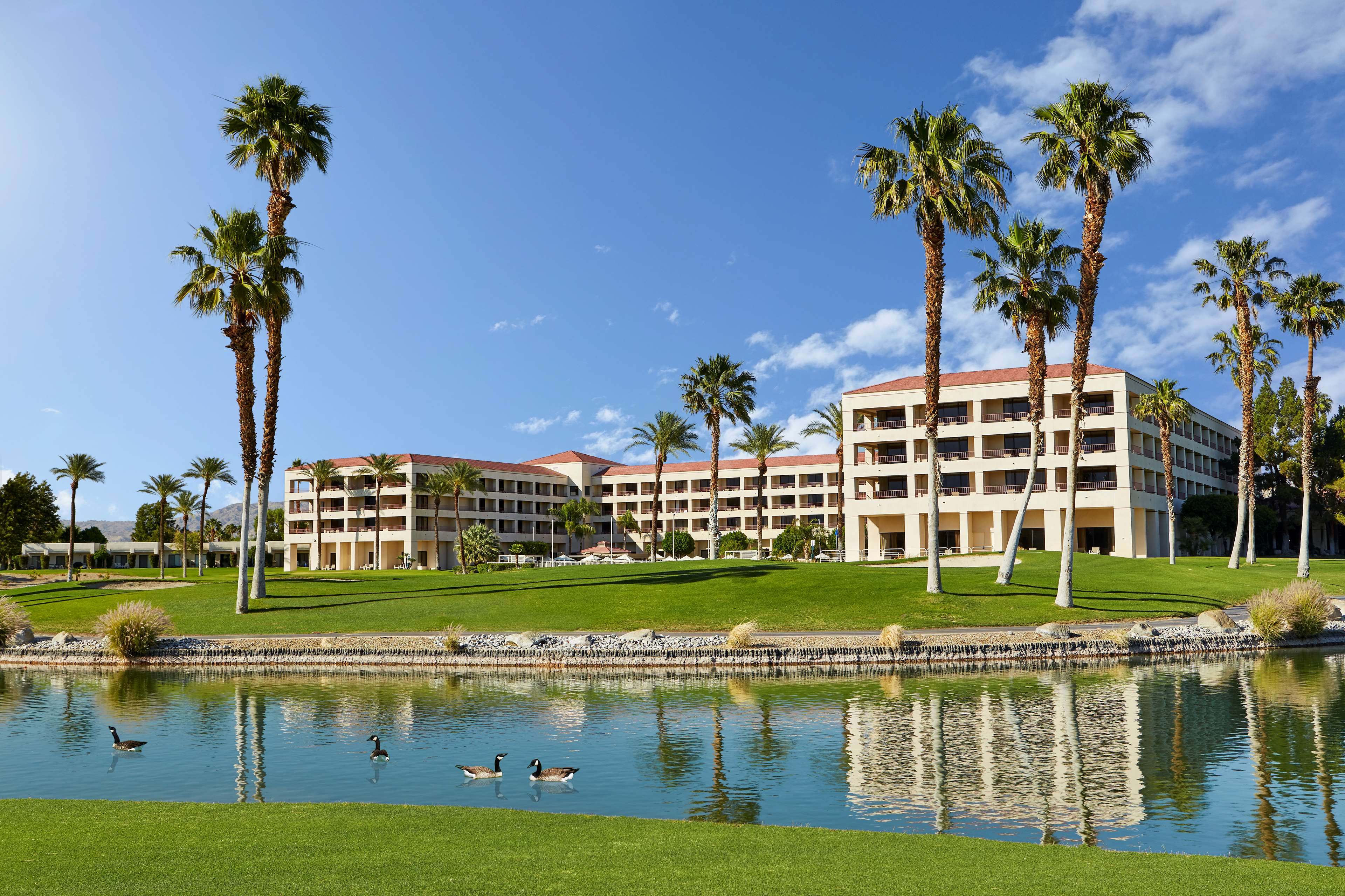 DoubleTree by Hilton Hotel Golf Resort Palm Springs in Cathedral City ...