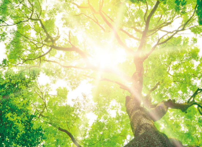 Rüdiger Diedrich Bau- und Möbeltischlerei, Steintorstr. 26 in Rosdorf