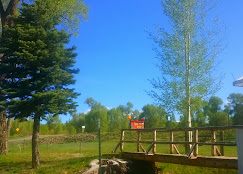 Mogote Meadow Cabins & RV Park Image