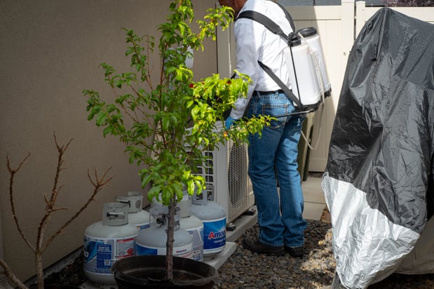 Images First Line Pest Defense