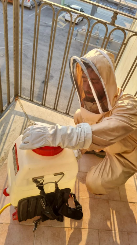 Images Pest Control Ecology Caserta