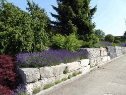 David Gartenbau AG, Bleichenbergstrasse 24 in Biberist