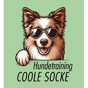 Hundetraining coole Socke - Viola Baumert Logo