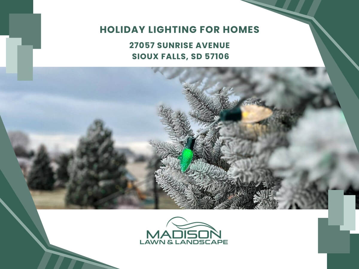 holiday lighting for homes