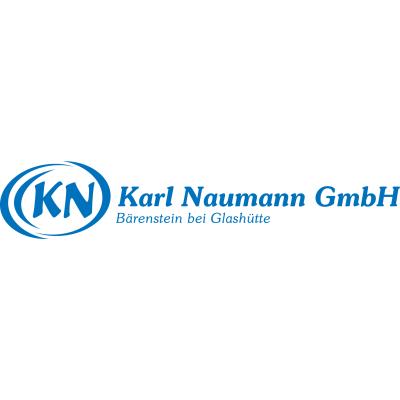 Karl Naumann GmbH in Altenberg in Sachsen - Logo