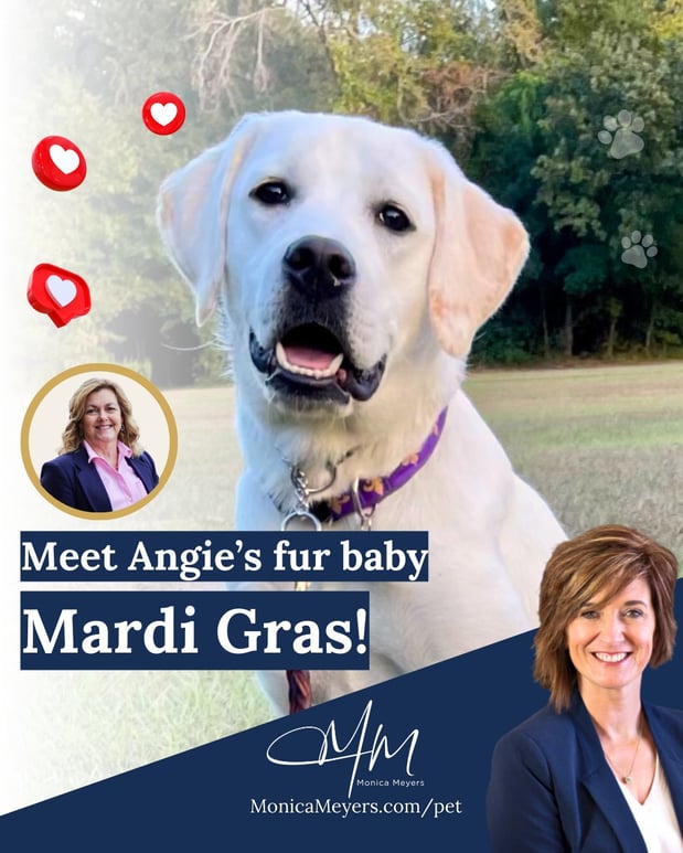 Images Monica Meyers - State Farm Insurance Agent