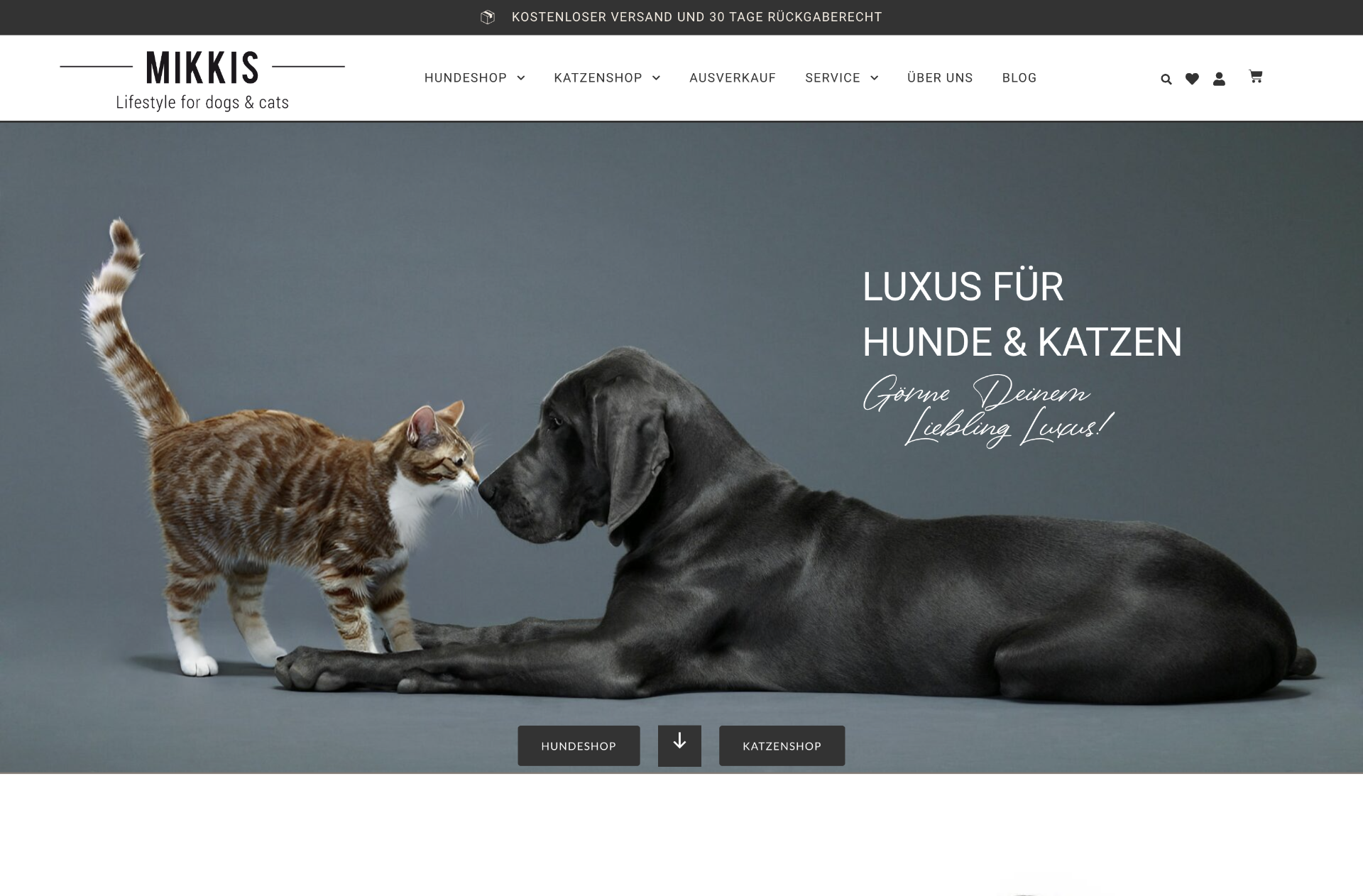 Bilder Ole Roloff | Freelancer für Webdesign, WordPress & SEO