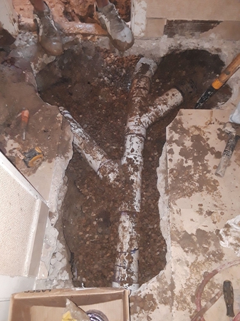 Images Family Rooter Plumbing and Sewer IL