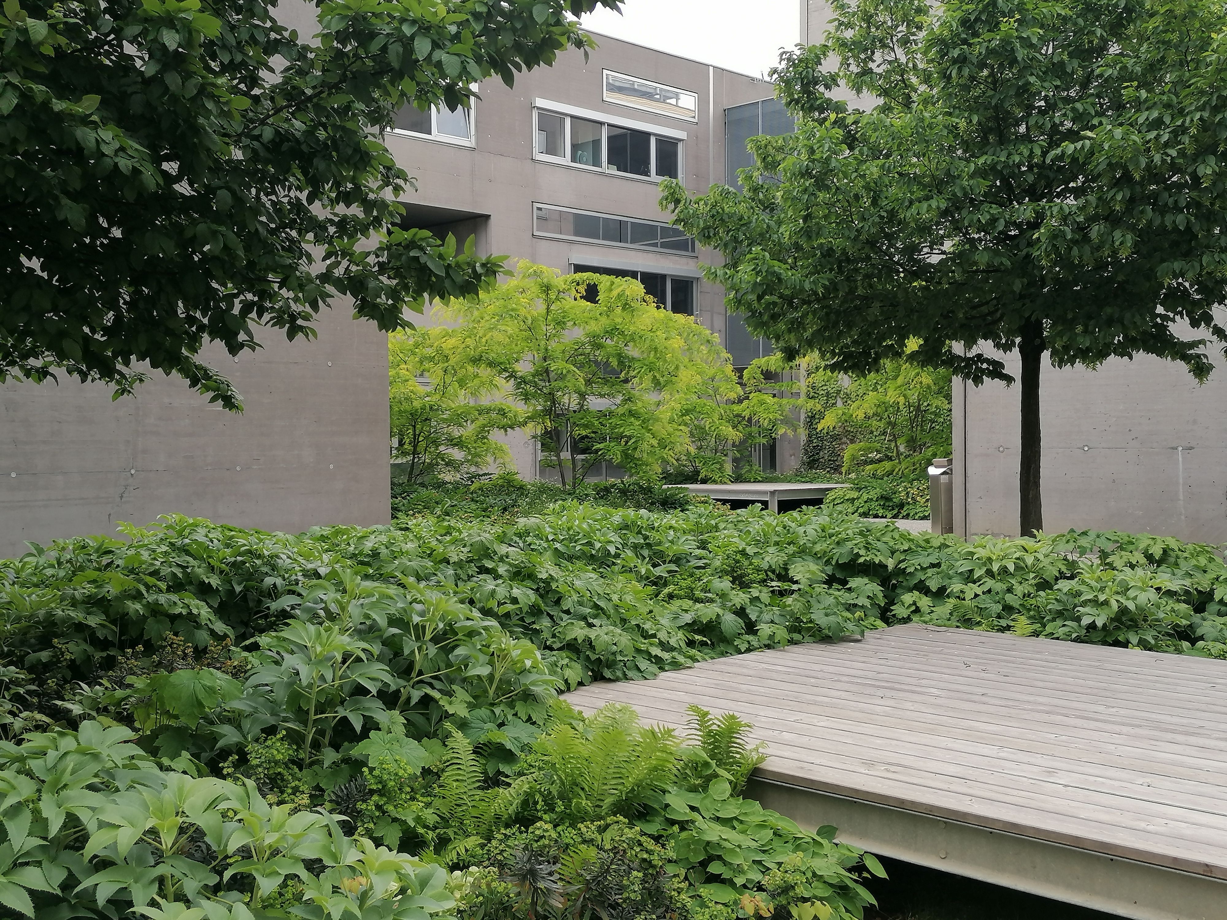 Bild 11 von KAINERSDORFER - Gartengestaltung & Pflasterer