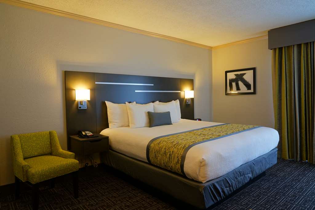 Suite King Bed
