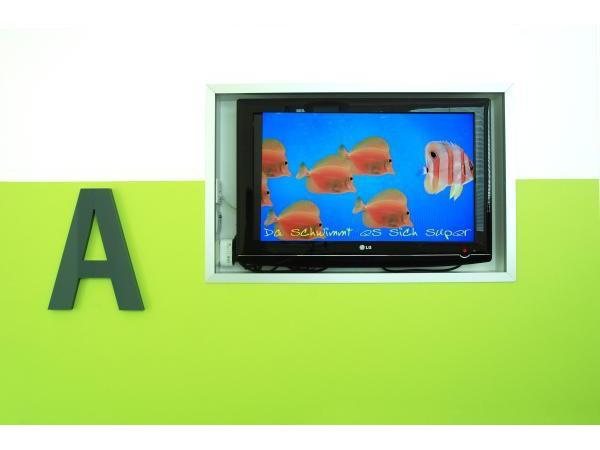 Tierarztpraxis Eggenberg Dipl-TA Greilberger Rainer, Karl-Morre-Straße 19 in Graz