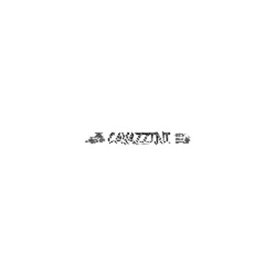 Cavazzini - Spurghi e Lavori Agricoli Logo