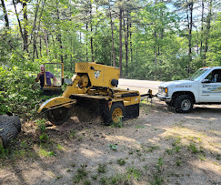 Images Lakes Region Tree and Stump Removal