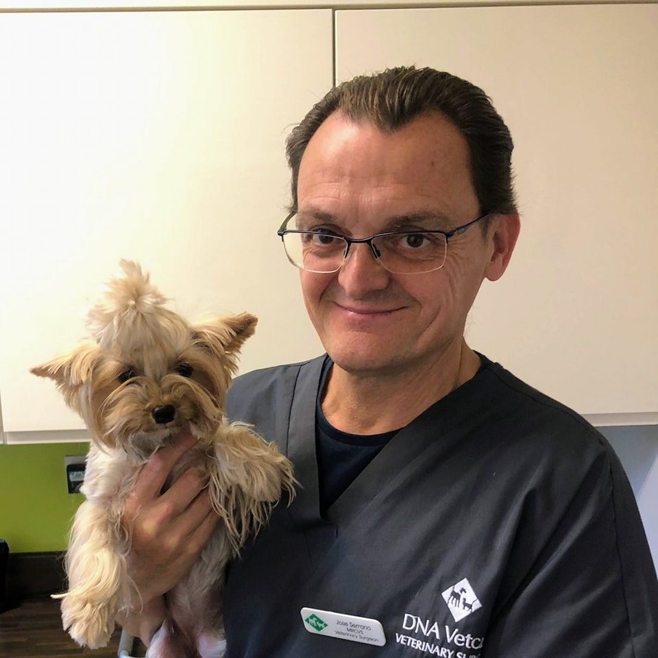 Abingdon Veterinary Clinic