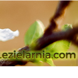 Eko Zakatek Logo
