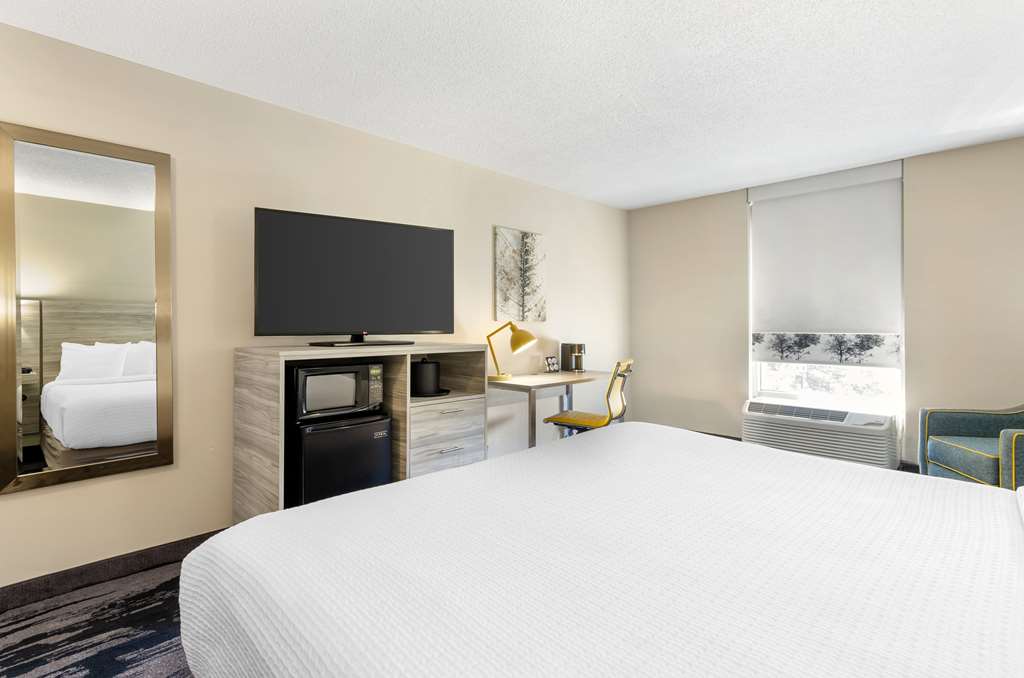 King Suite Sofabed