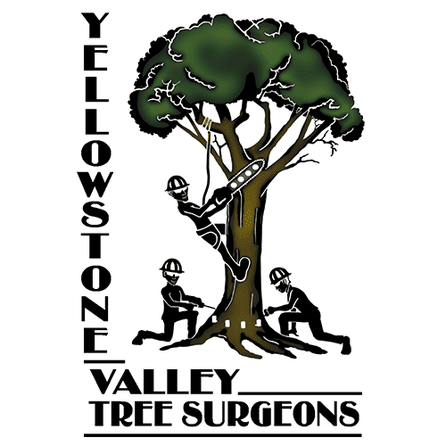 Yellowstone Valley Tree Surgeons