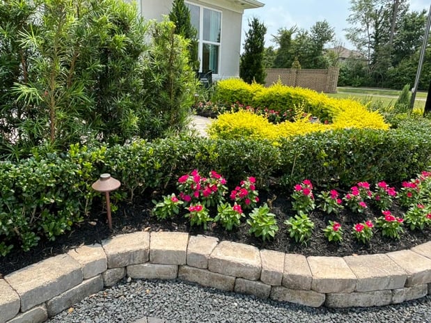 Images Rosehill Palms Landscaping & Garden Center