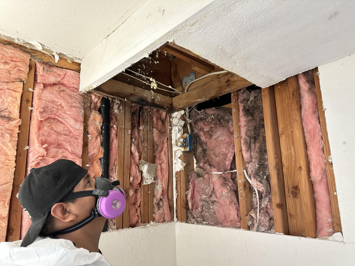 Palomar Restoration Services