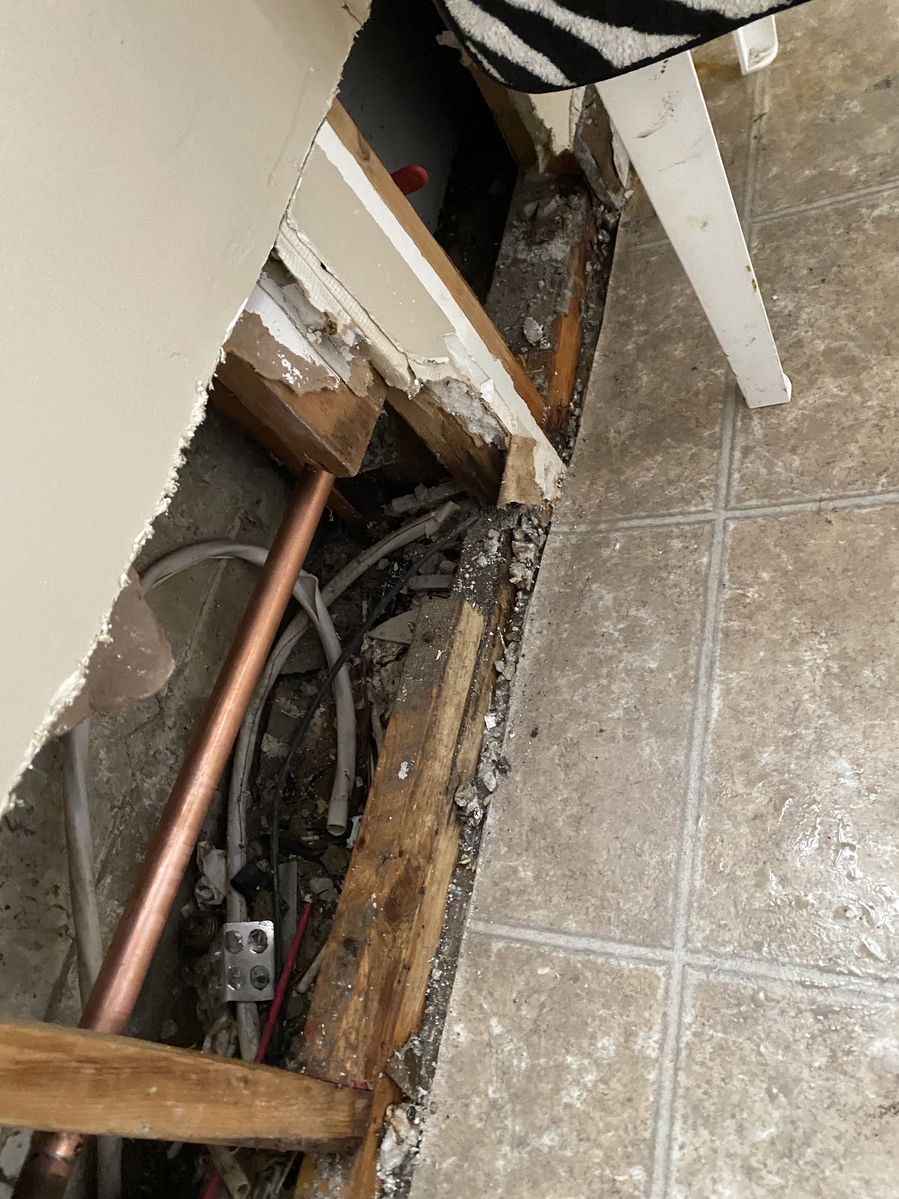 Images DrainCam Plumbing