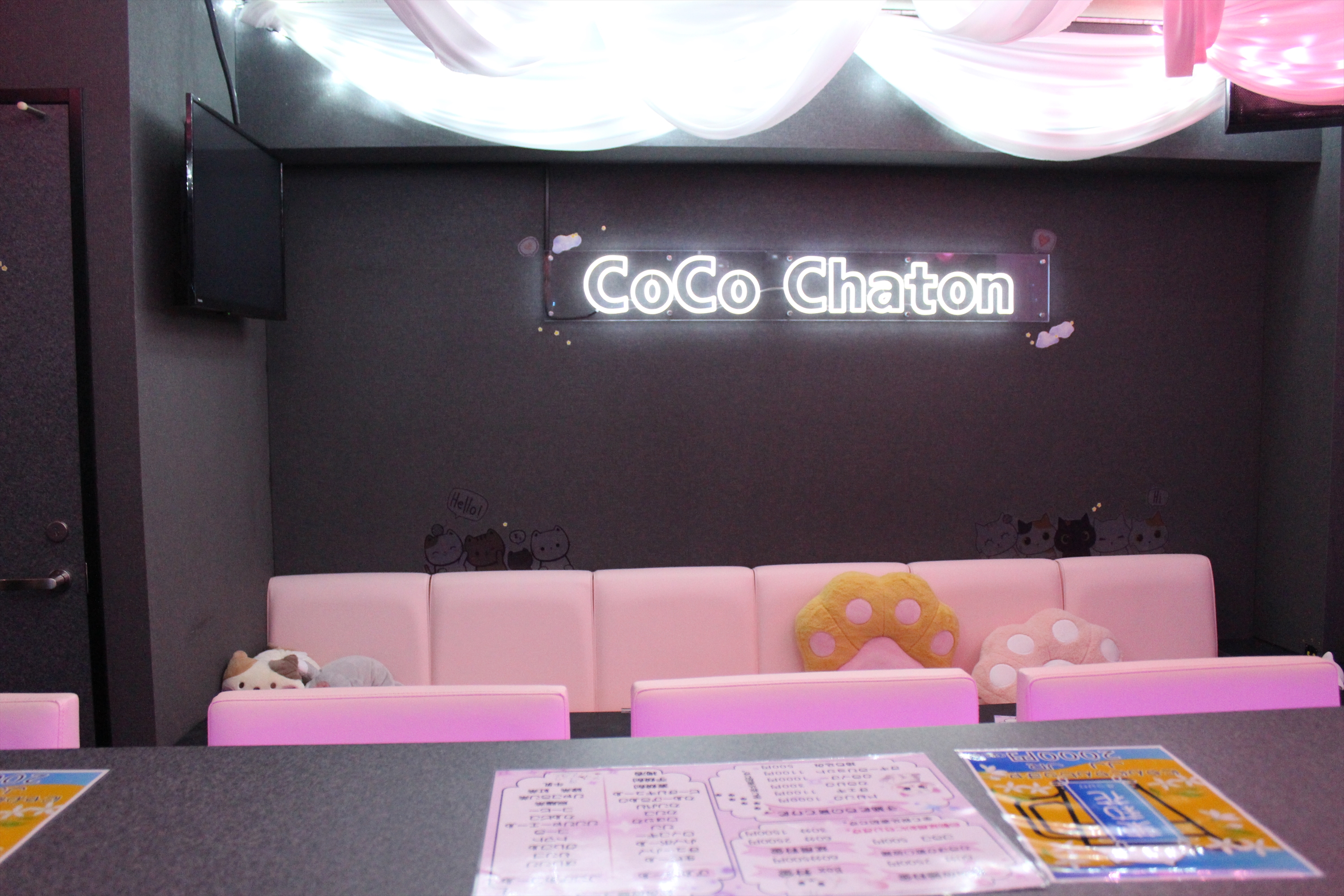 Images CoCo Chaton