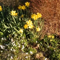 Images Pemberley House Bed and Breakfast