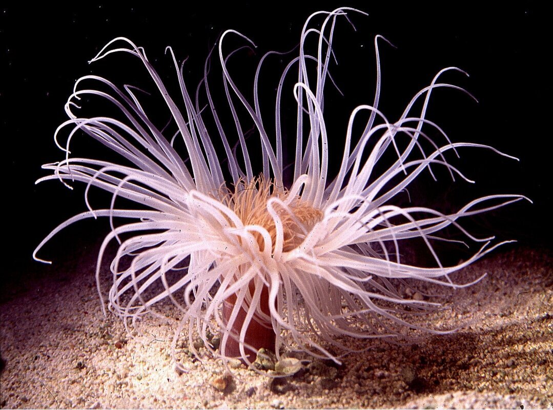 S&L Naturverlag, Bergrat-Mahr-Straße 17 in Ilmenau