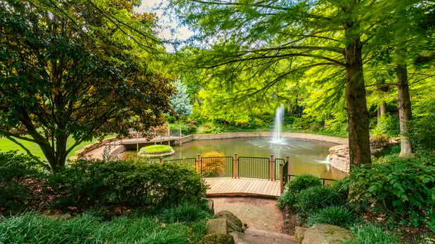 Images Nolyn Pointe by Toll Brothers