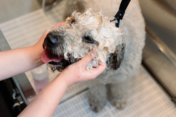 Images Bowie Barker Woodland Hills