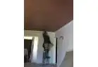 Images Eagle Plastering & Home Improvements Ltd
