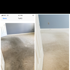 Baltimore Rug and Carpet Cleaning Photo