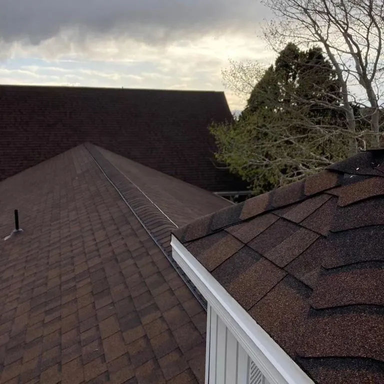 West Desert Roofing Image