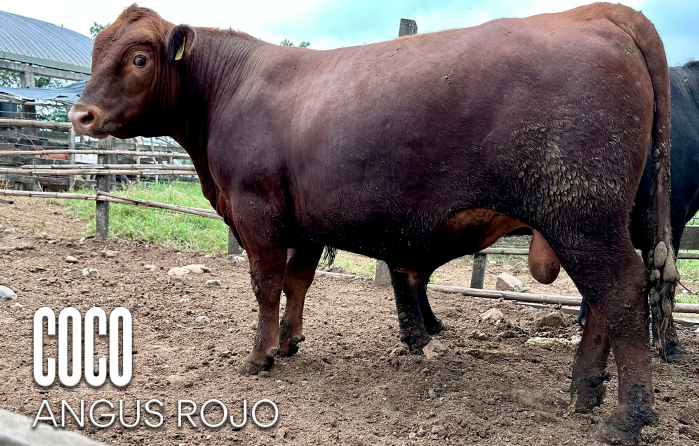 Images Rancho La Marina