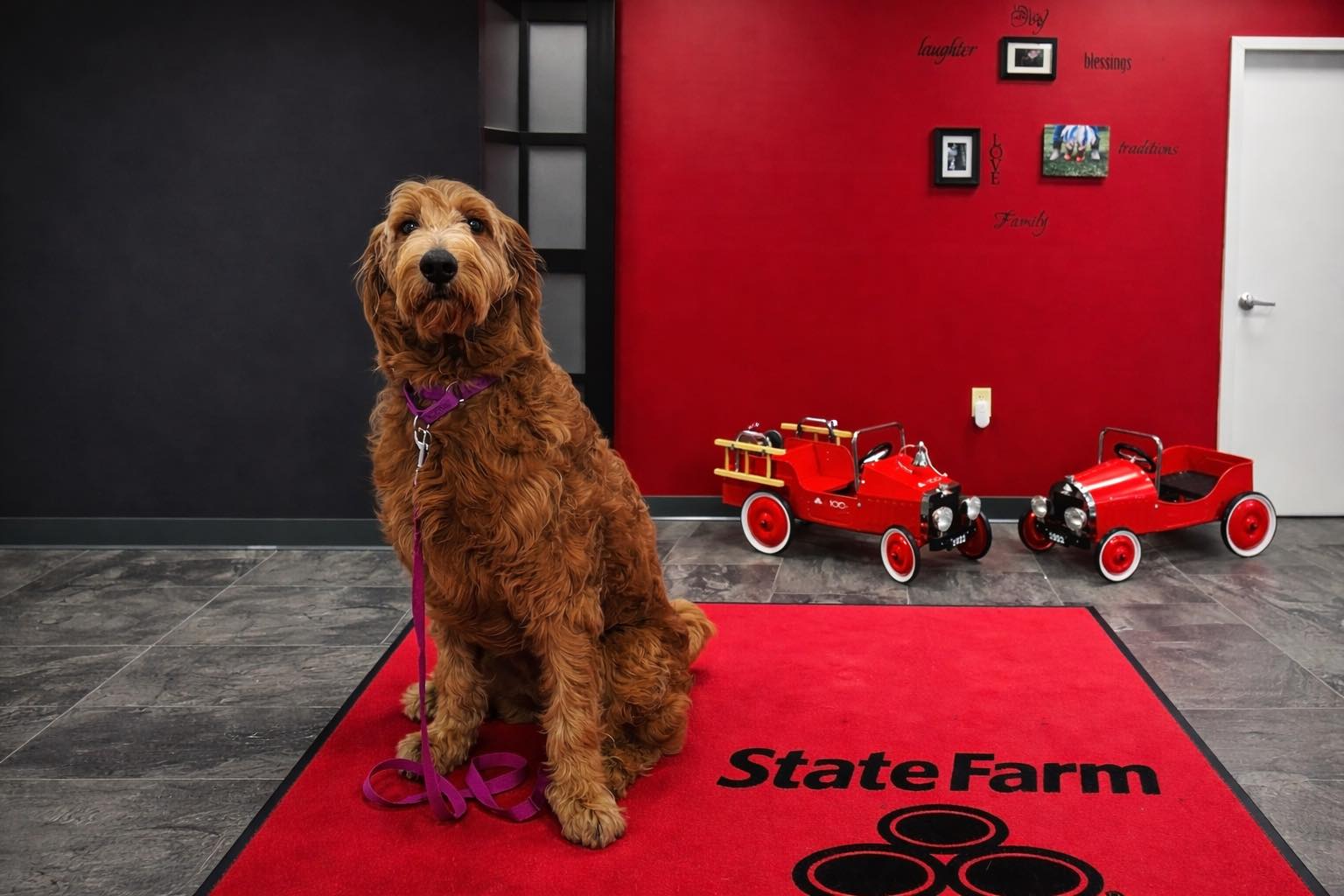 Happy Puppy Day from Toni Moreland State Farm!
