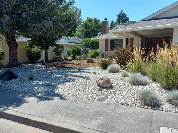 Images Paz Landscape