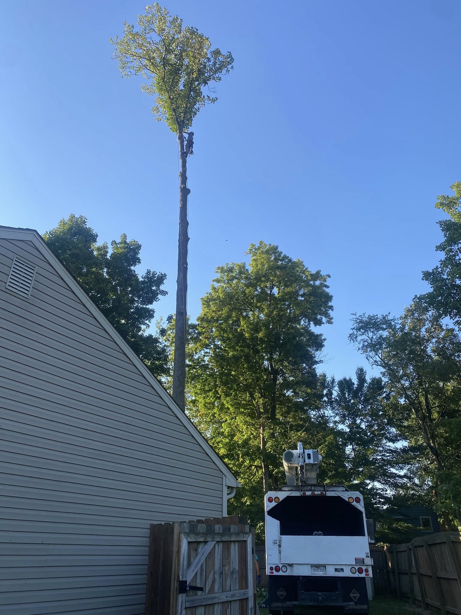 Sharper Image Tree Service LLC Image