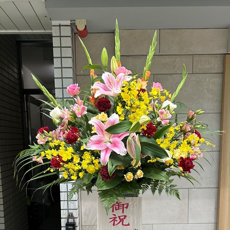 Images 花年