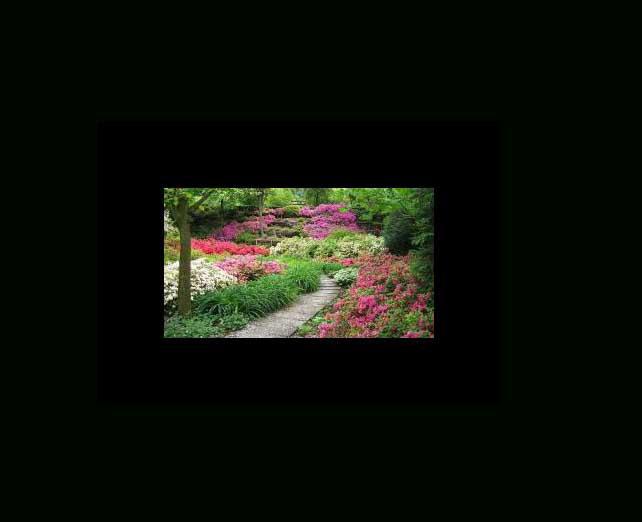 Images Giardiniere - Bonardo Andrea