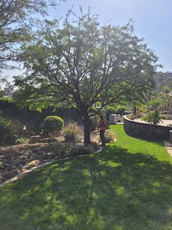 Images CM Precision Tree and Landscape Maintenance Inc