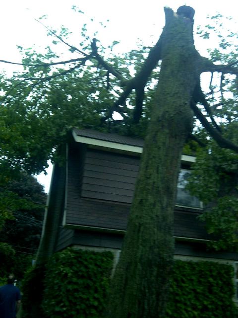 Images Couvreurs Lakeshore Roofing