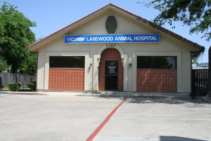 Images VCA Lakewood Animal Hospital