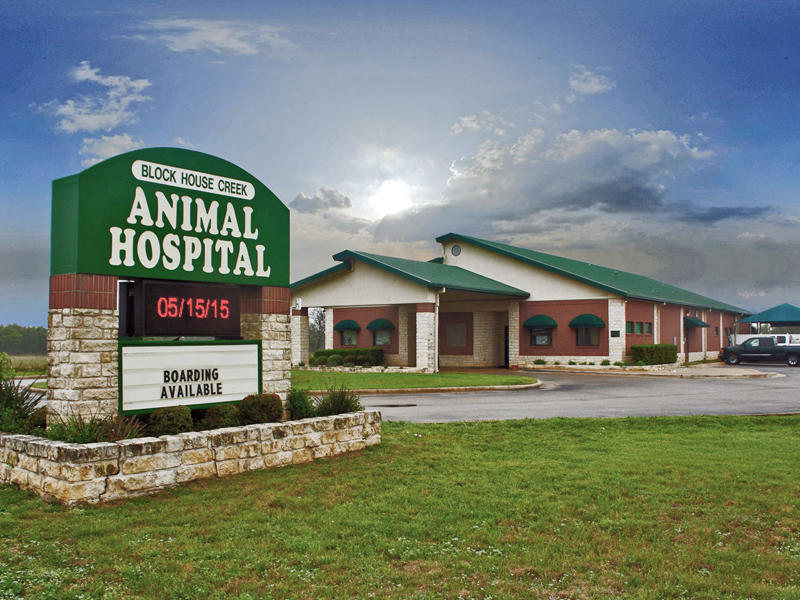 Block House Creek Animal Hospital - Cedar Park, TX 78613 - (512)259-4200 | ShowMeLocal.com